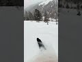 The day Austria was like Japan #freeride #ski #freeriding #skiing #pov #powder #mountains #austria