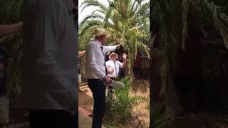 29 Latham Rd Auction 29 Latham Rd Auction