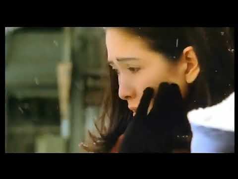 駅-STATION-    いしだあゆみ　高倉健　名古屋章