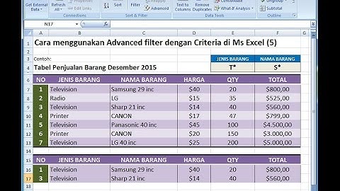 Excel 2007 Tutorial |Cara Filter Data dengan Dua Kriteria Menggunakan Advanced filter
