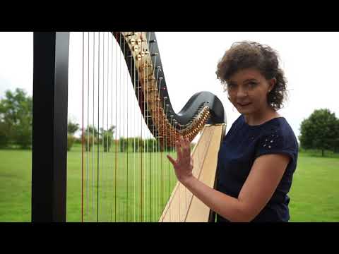 Wideo: Czym Jest Harfa żydowska