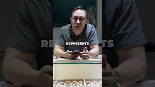 Smart Watches Vs Luxury Watches What Does It Say About You?