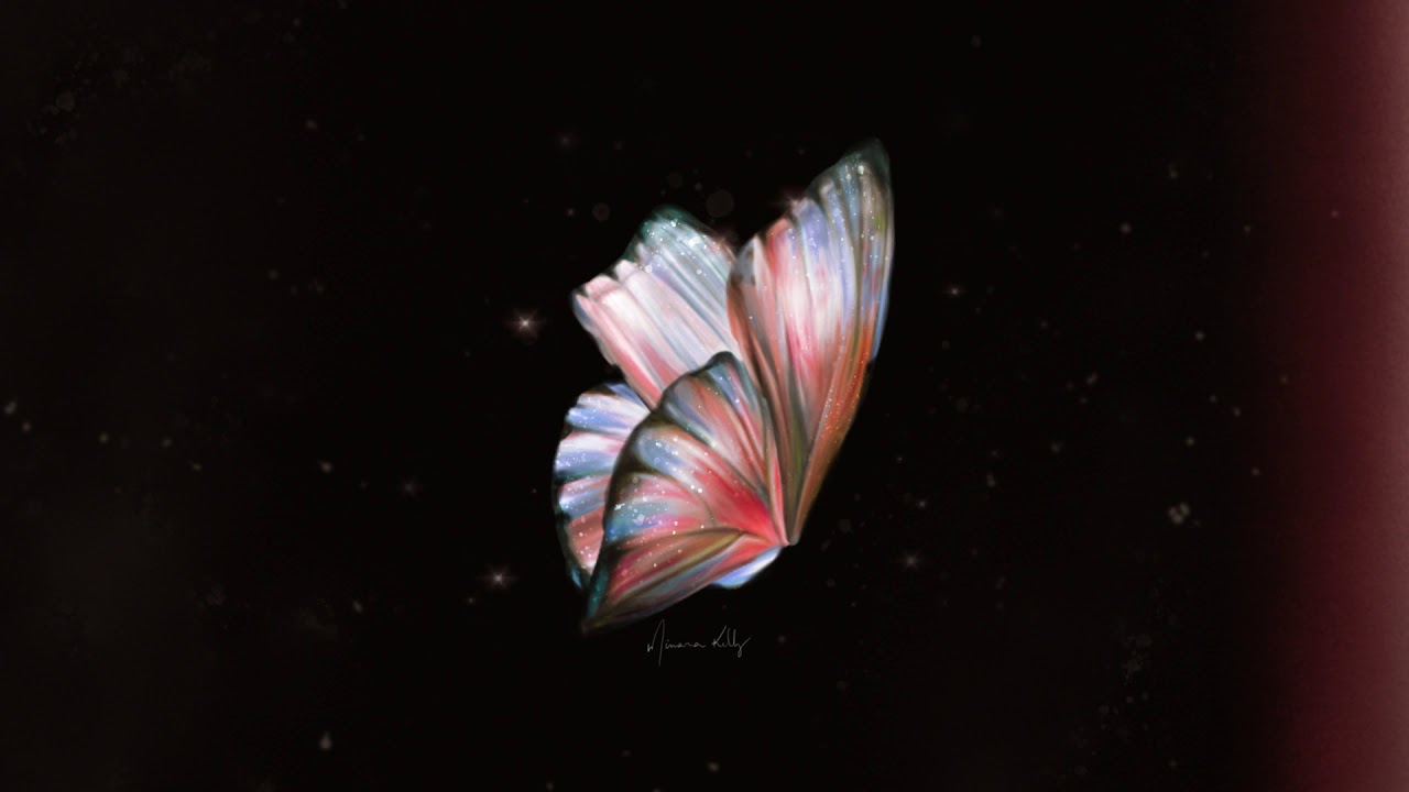 Butterfly - Live Wallpaper Full HD - YouTube