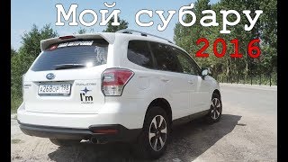 Субару Форестер тест драйв | Плюсы и минусы моего Subaru