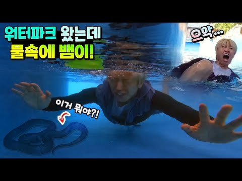 <strong>워터파크</strong> 왔는데 물 속에 뱀이 나왔어요! 결국 토깽이네 까지... 놀지도 못하고 너무 무서워ㅠㅠ 반전 황당 몰래카메라 ㅋㅋㅋ 여행 흔한 가족 <strong>일상</strong> | 말이야와친구들