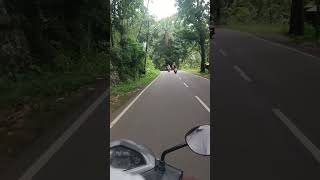 ഒരു യാത്രാ വൈബ് 🥰🥰#shorts #malayalam #travel #യാത്ര #entertainment #katturumbu stories #reels