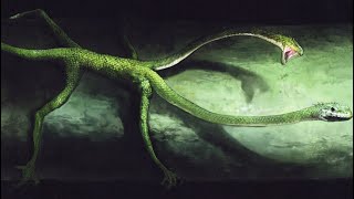 Dark Souls: Two-Headed Lizards