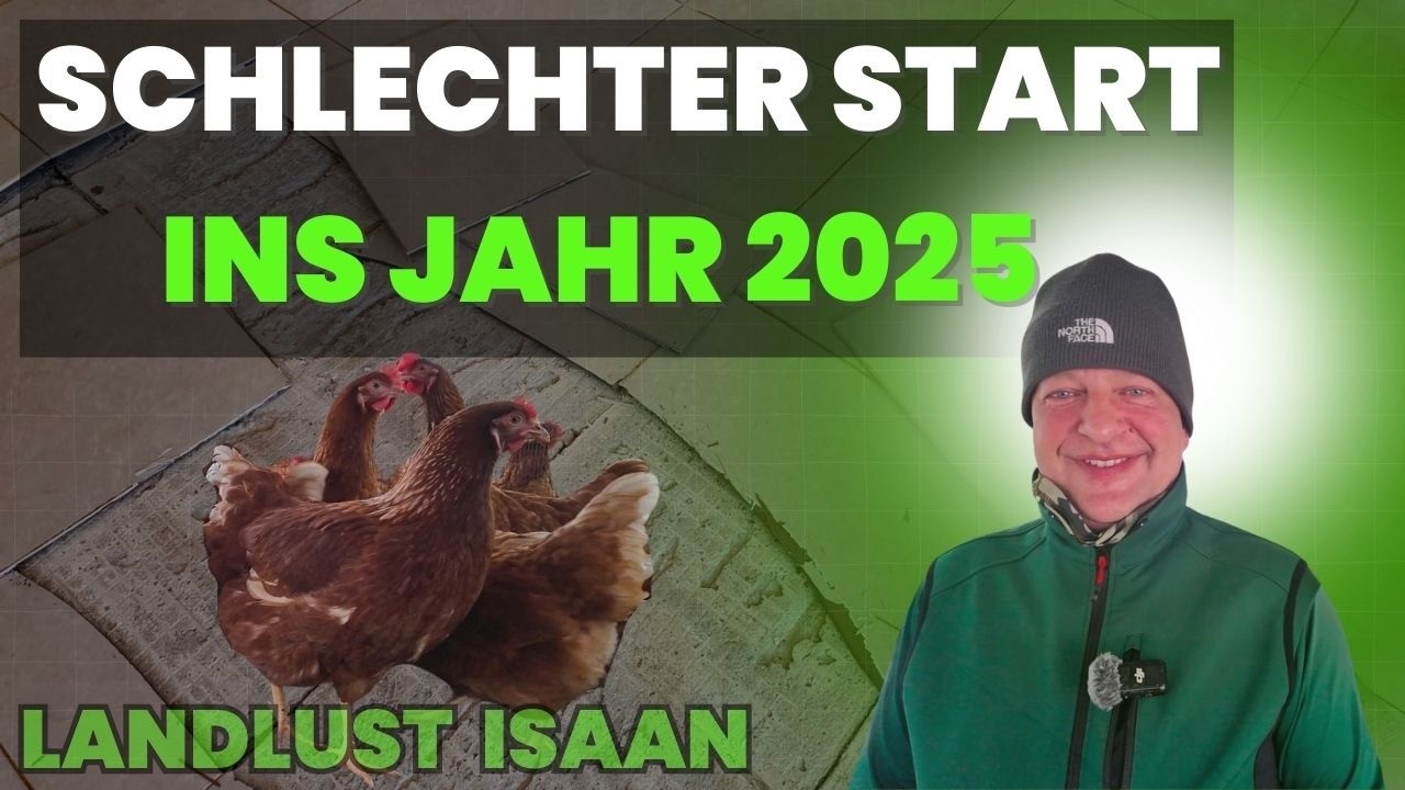 Kaputte Fliesen, neue Hühner: Mein holpriger Jahresbeginn in Thailand im Isaan - Folge 57