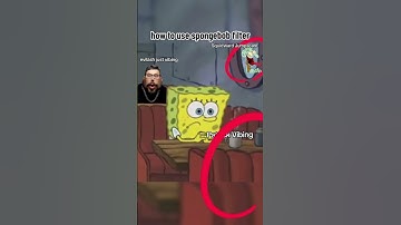 How To Use The Spongebob Filter