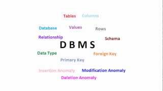 Database Management System: Basics