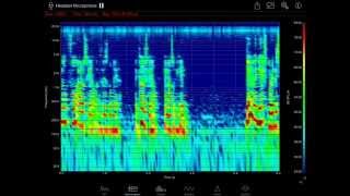 Real-time 2D Spectrogram for iOS