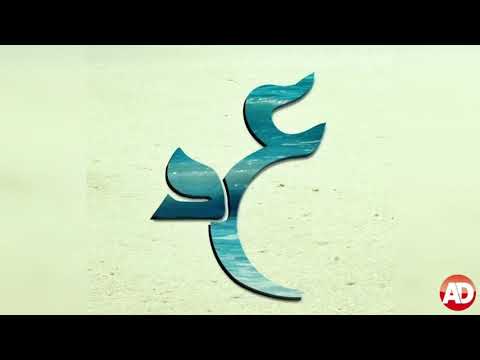 مش قولتلك عمرودياب