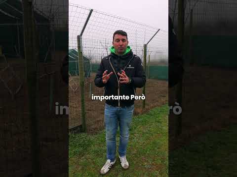 Dalla città alla campagna: il coraggio di cambiare vita