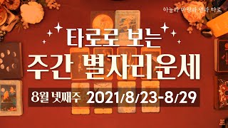 타로로 보는 주간 별자리운세 (8/23 ~ 8/29)