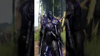Knock knock, its the new outfit, Elderwood | Black Desert Console