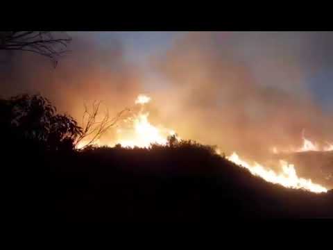 Incendio en Monte Hermoso sector del Sinuoso Oeste