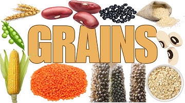 Grains Name Vocabulary for Kids |food | pulses| learn #rice #Wheat  #Barley #preschool  #Oats