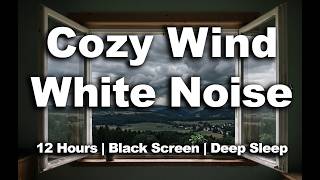 Cozy Wind White Noise | 12 Hours | Black Screen for Deep Sleep
