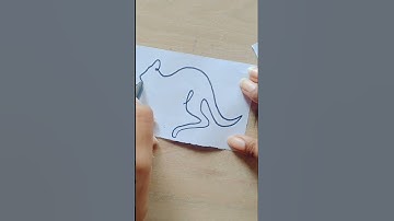 Kangaroo 🦘 one line drawing ✍️#shorts