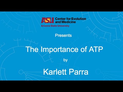 Video: Hvorfor er ATP et vigtigt molekyle i stofskiftet?