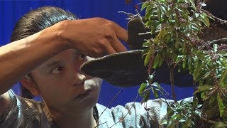 型破りなパフォーマー 盆栽師 平尾 成志 さん