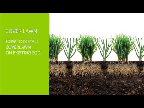 EZ Hybrid Turf - What is Coverlawn Hybrid Synthetic Turf?