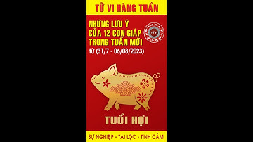 Tuổi Hợi - Các vấn đề cần chú ý trong tuần mới (31/07 - 06/08/2023)