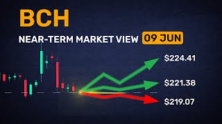 Forecast consensus: 5 analysts on BCH tomorrow
