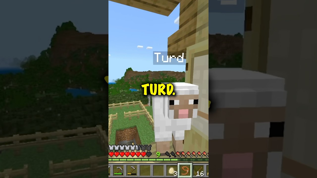 Funny Pet #Mexo #subscribe #minecraft #fyp #pro #gaming #reaction #trend #youtube #special
