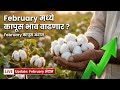 कापूस भाव फेब्रुवारी अंदाज 2026 | Cotton Market Today | Rise or Fall? February Andaj, kapus bhav aaj