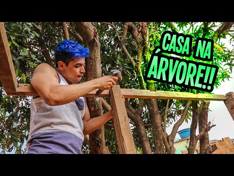 Vídeo: Como Construir Uma Casa Na árvore
