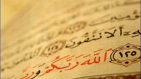 الشيخ محمد أيوب - سورة البينة