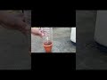 Lemon Plant from Cutting 🌱 | Easy Nimbu Growing Tips #shorts