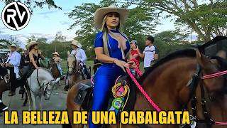 Las Mejores Cabalgatas Del Valle Del Cauca En Colombia