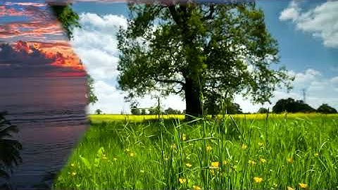 LESSON 7   Frame Blocking