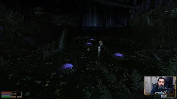 The Elder Scrolls III: Morrowind - 5 - Lighthouse and Fargoth