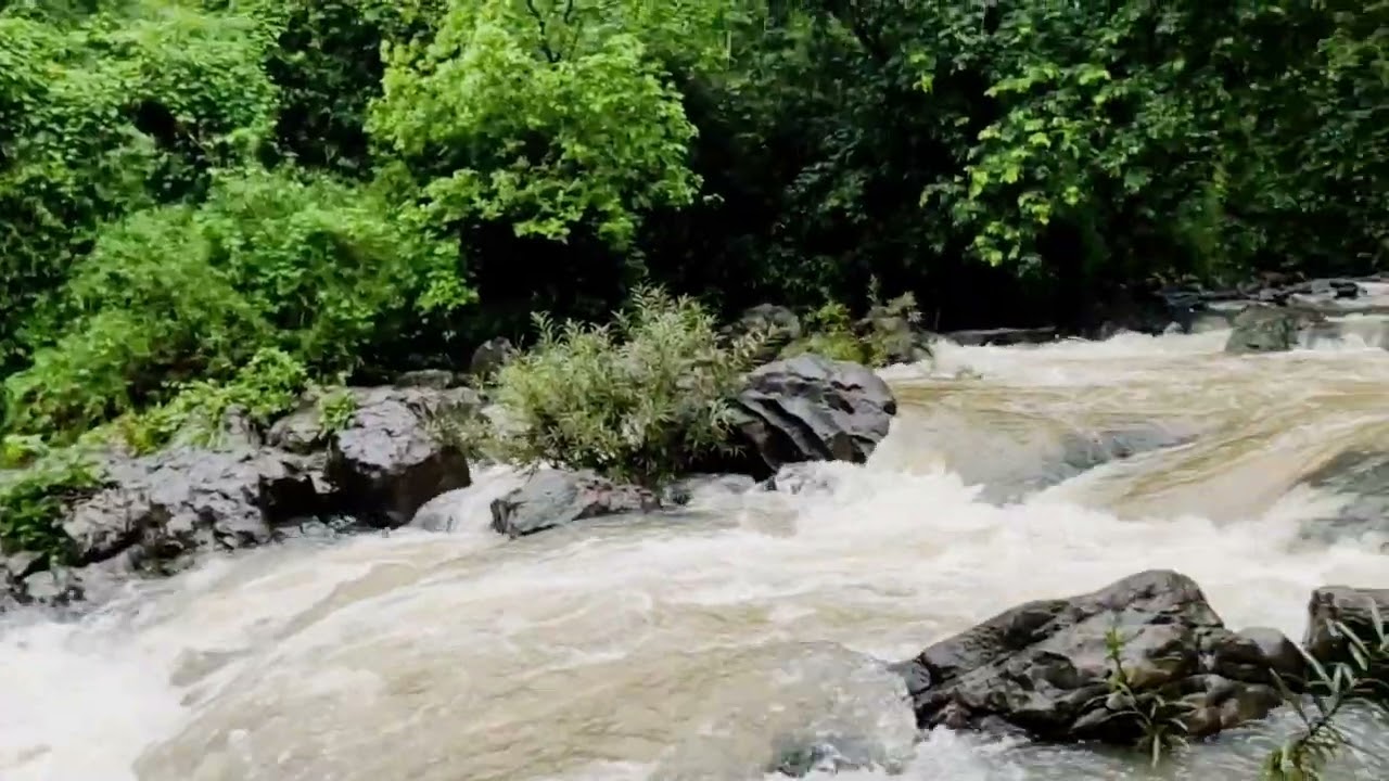 SGNP NATURAL🏞️❤️ TRAIL || HIDDEN PLACES || BORIVALI ||Secret ☔NATURE FLOWING BEAUTY🌊 in BORIVALI ||📍
