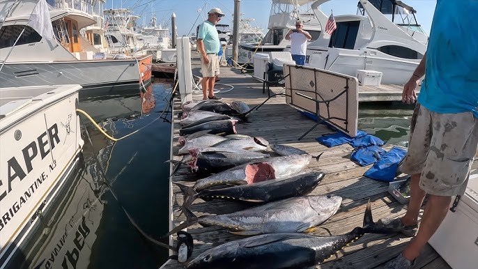 Trolling Umbrella Rigs for Mid November Striped Bass. And another