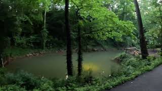 Lost River Cave in Bowling Green, KY A Hidden Gem Everyone Should Visit! #HiddenGem #NatureLovers