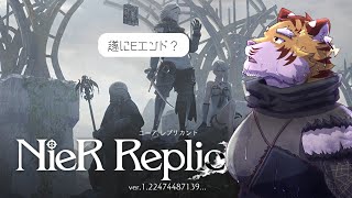 【NieR Replicant】カイネちゃんに会いに #15【Vtuber/虎縞雷一】