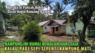 Download Lagu KAMPUNG INI SEPI BANGET | SEMUA RUMAH TERTUTUP DAN DIKUNCI GAK ADA ORANG SAMA SEKALI MP3