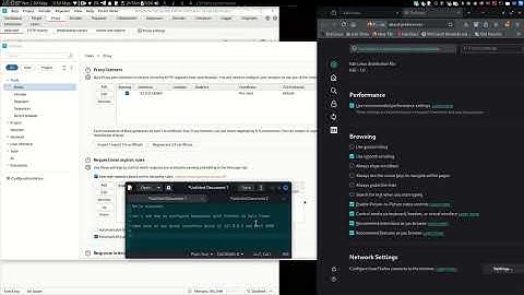 How to Configure Burpsuite with Firefox in Kali Linux