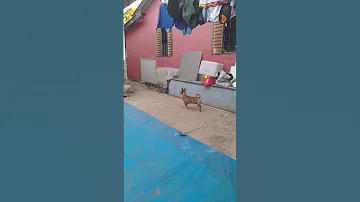Este Conteúdo Realmente Me Motiva Https K Kwai Com P OitC2ysO 