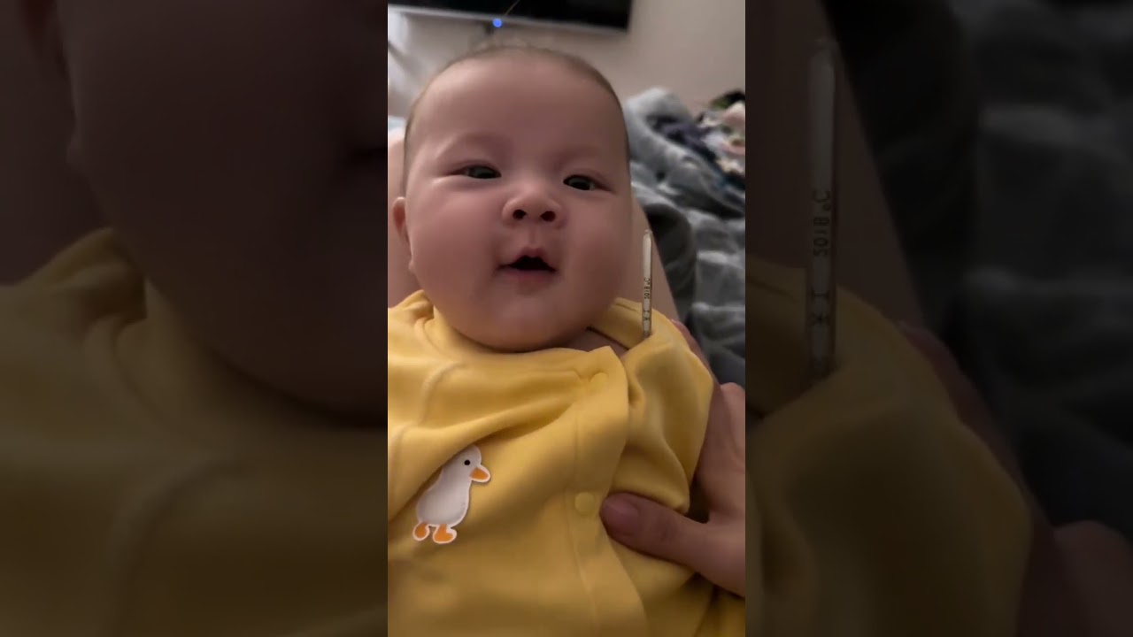 Enjoy with Falla video  2023 