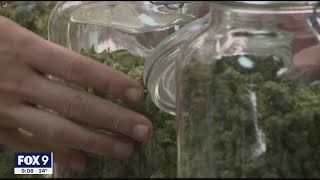 Minnesotans react to Gov. Walz's recreational marijuana budget proposal | FOX 9 KMSP
