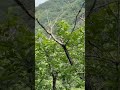 소요산
