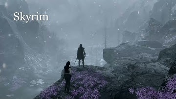 Skyrim: Valerica won