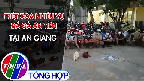 Triệt xóa nhiều vụ đá gà ăn tiền tại An Giang