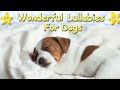 Sleep music for your dog and puppy  calm your dog effectively  relaxing lullaby for dogs