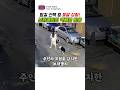 CCTV 밤길 산책 중 돌발상황 보더콜리의 역대급 반응 #강아지 #애견영상 #반려견 #반려동물#보더콜리